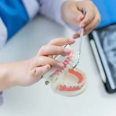 Root Tip Surgery